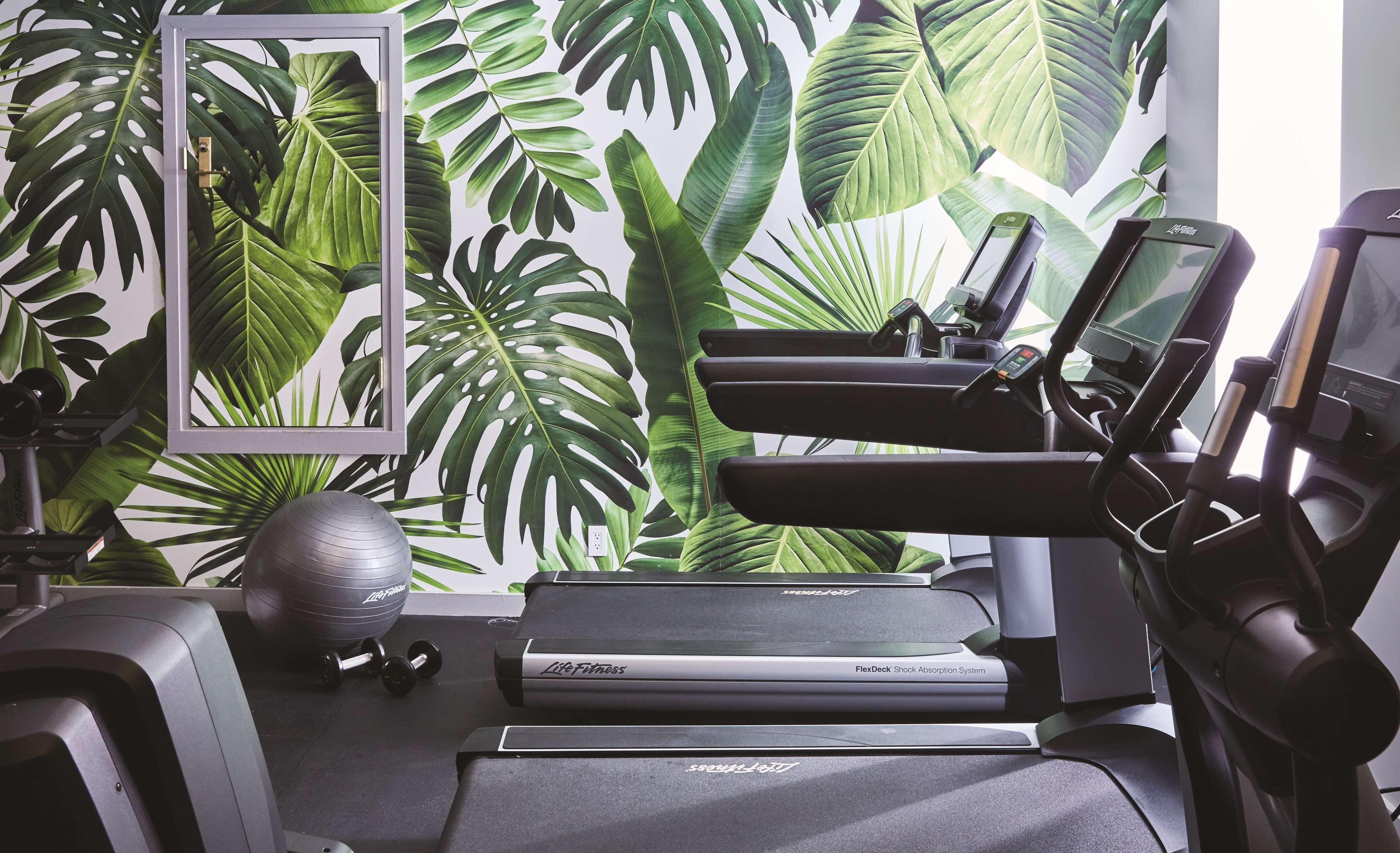 Seville Nomad, In The Unbound Collection By Hyatt Hotel Nueva York